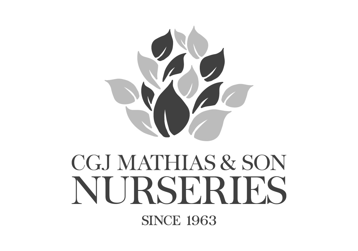 CGJ Mathias & Son Nurseries